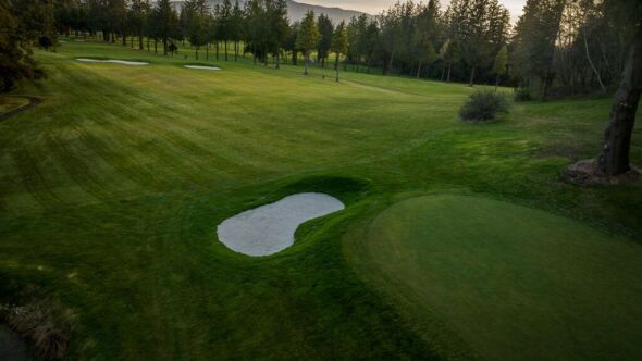 The Mook at Alderbrook: #5