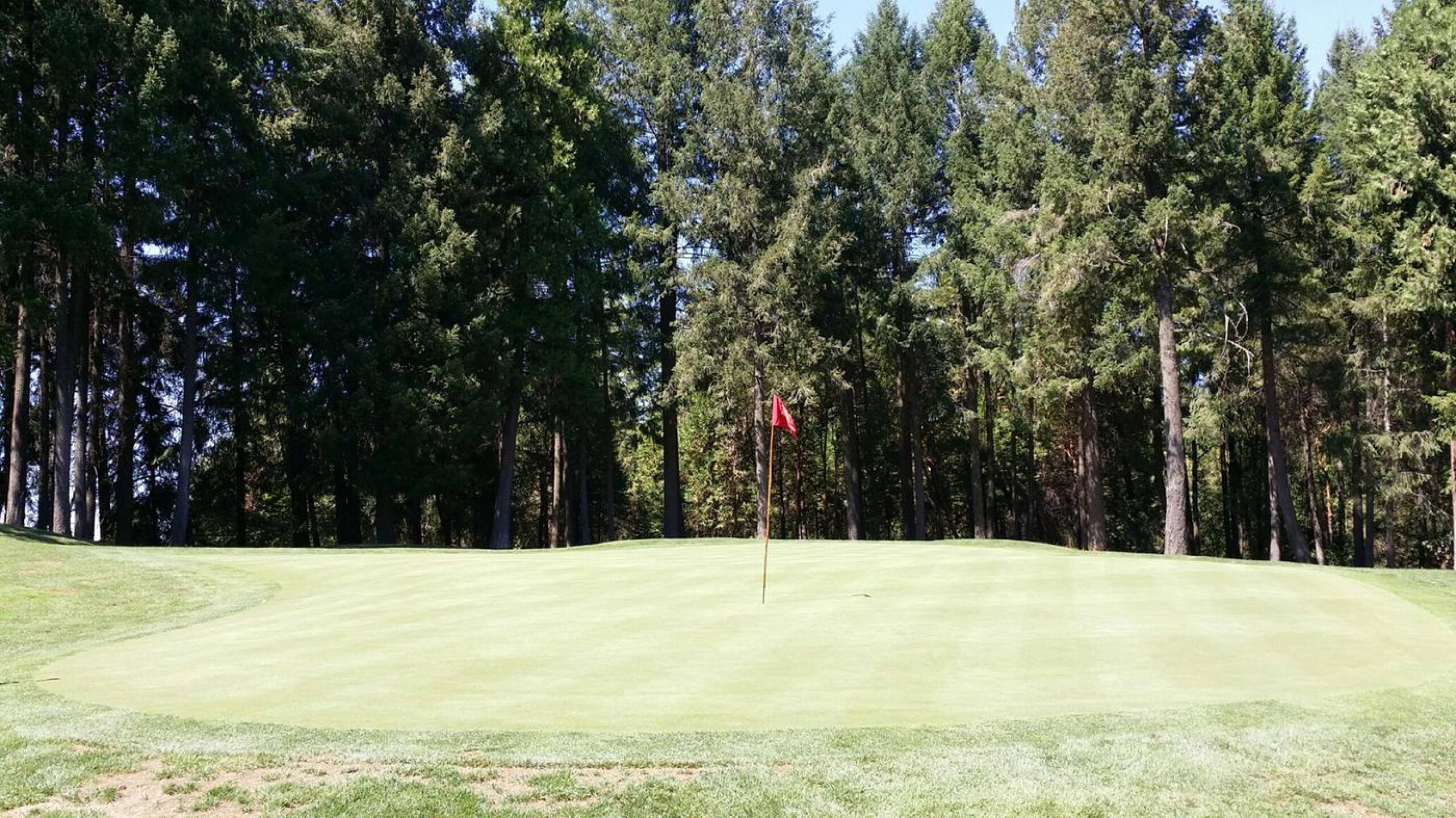 15th green (Photo submitted by brovarnm on 09/10/2017)