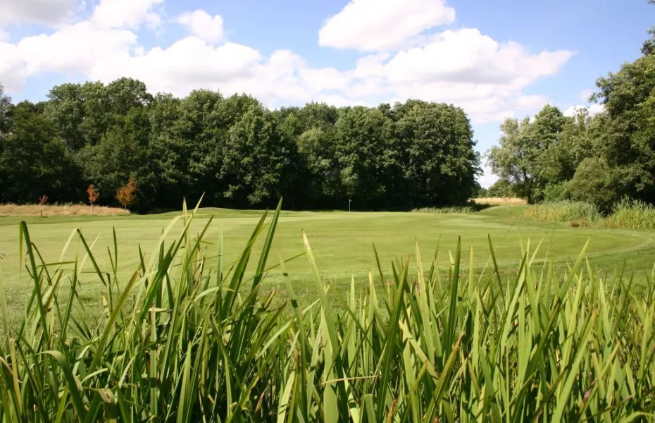 Theale GC