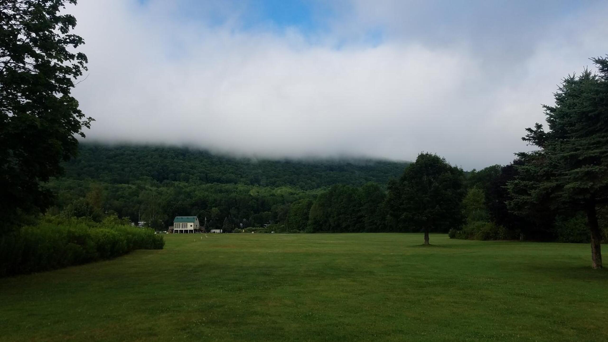 (Photo submitted by Luckyshank on 08/02/2020)