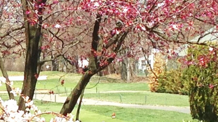 Rockville Links Club