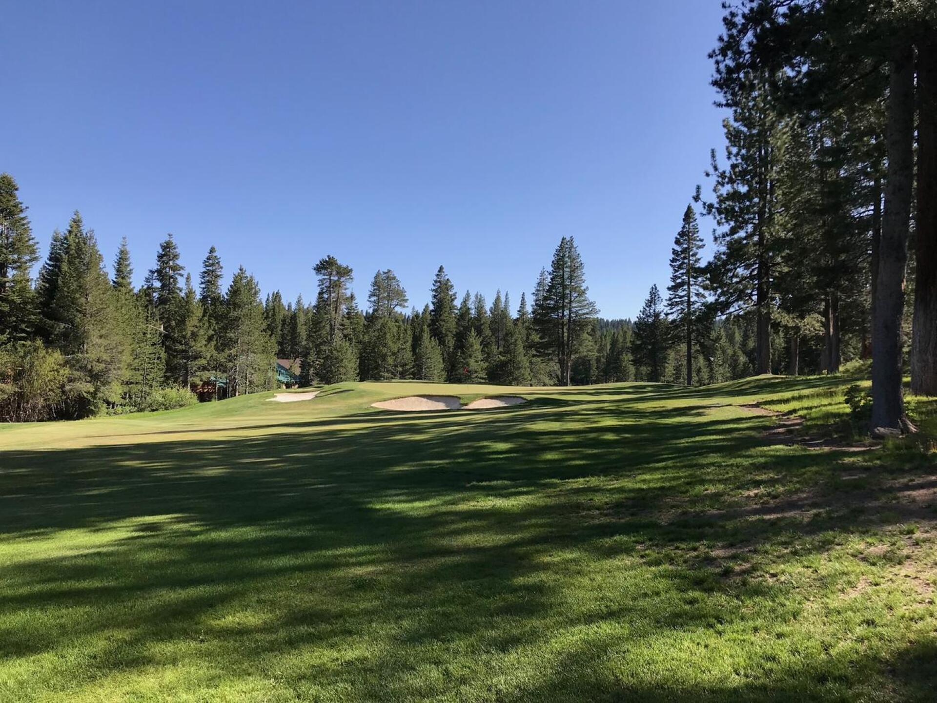 (Photo submitted by JasonDeeganGA on 06/11/2018)