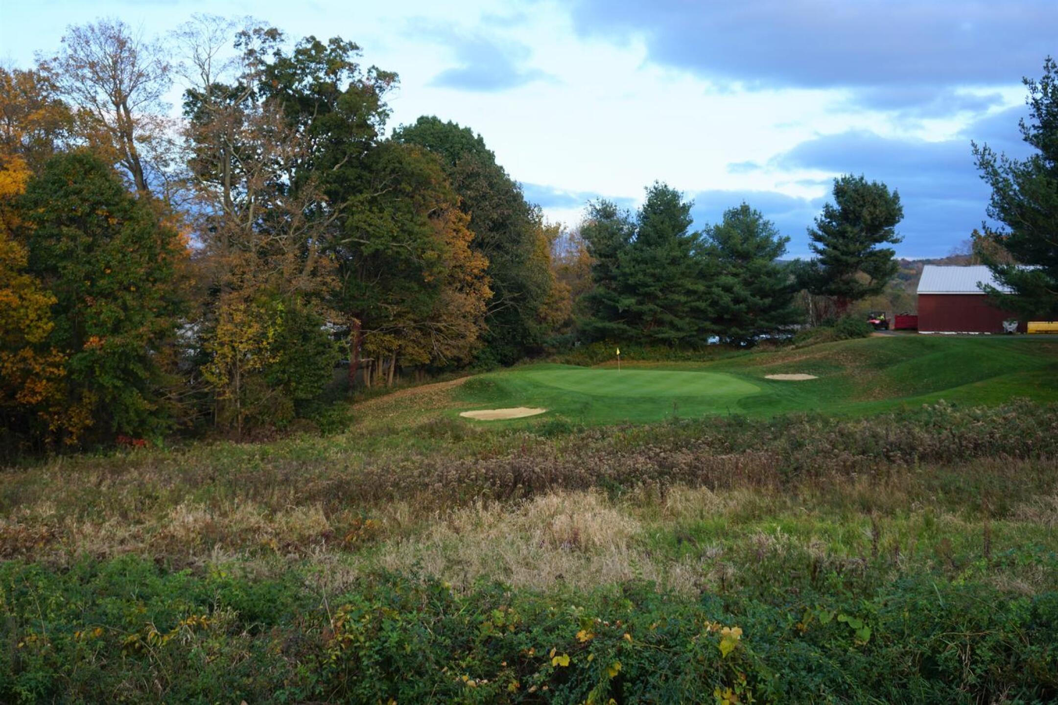 Eight: A view over the large thicket that precedes the green. (Photo submitted by AptlyLinked on 10/29/2021)