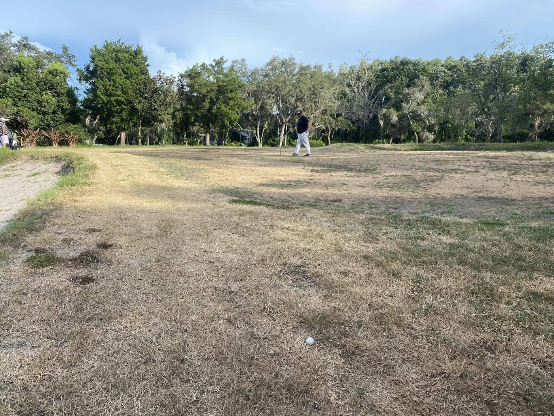 (Photo submitted by u314163617470 on 10/29/2025)