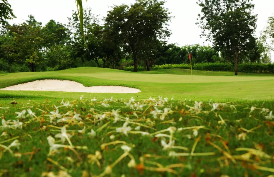 Springfield Royal CC