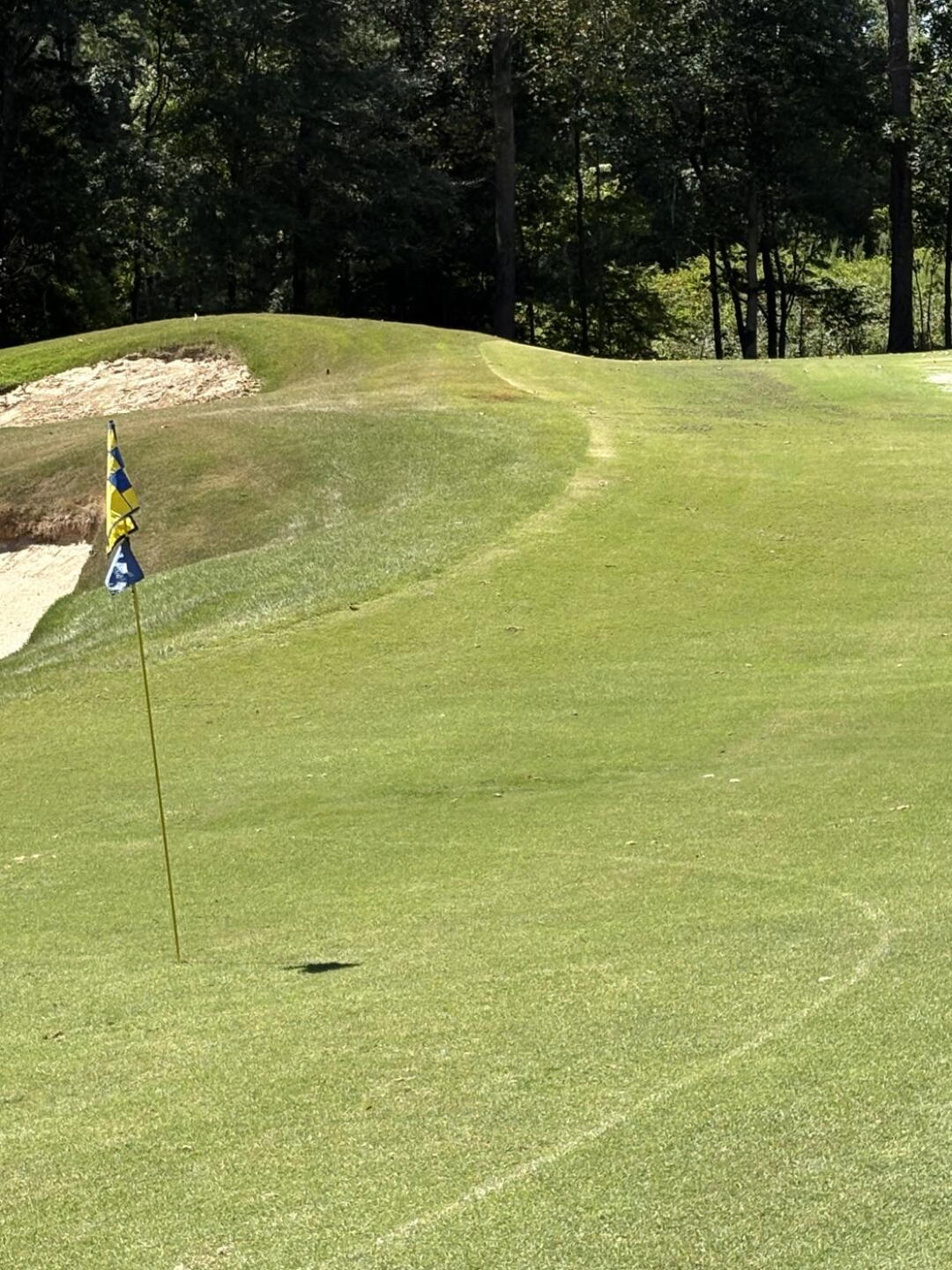 Random greens in fairway (Photo submitted by AGwLKxFPCGCF1MTF2tzI on 09/02/2025)