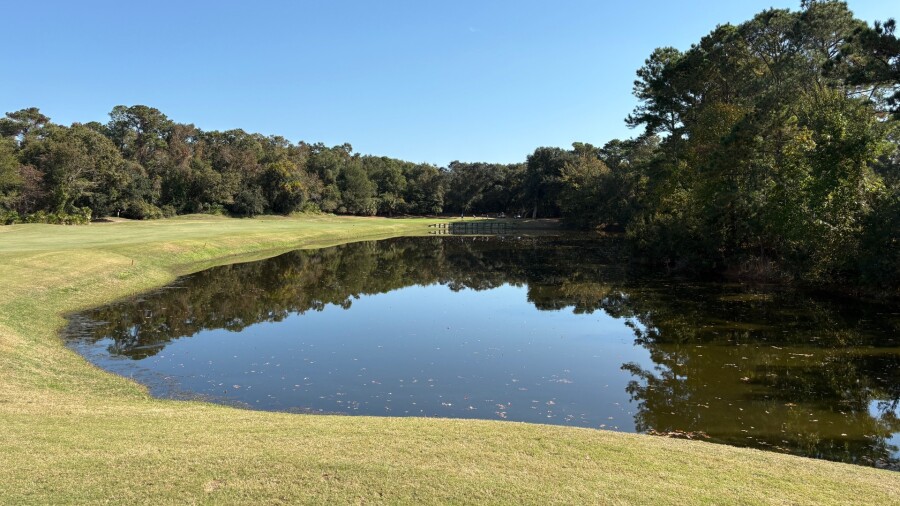 Palmetto Plantation Hall - Arthur Hills Course - hole 5