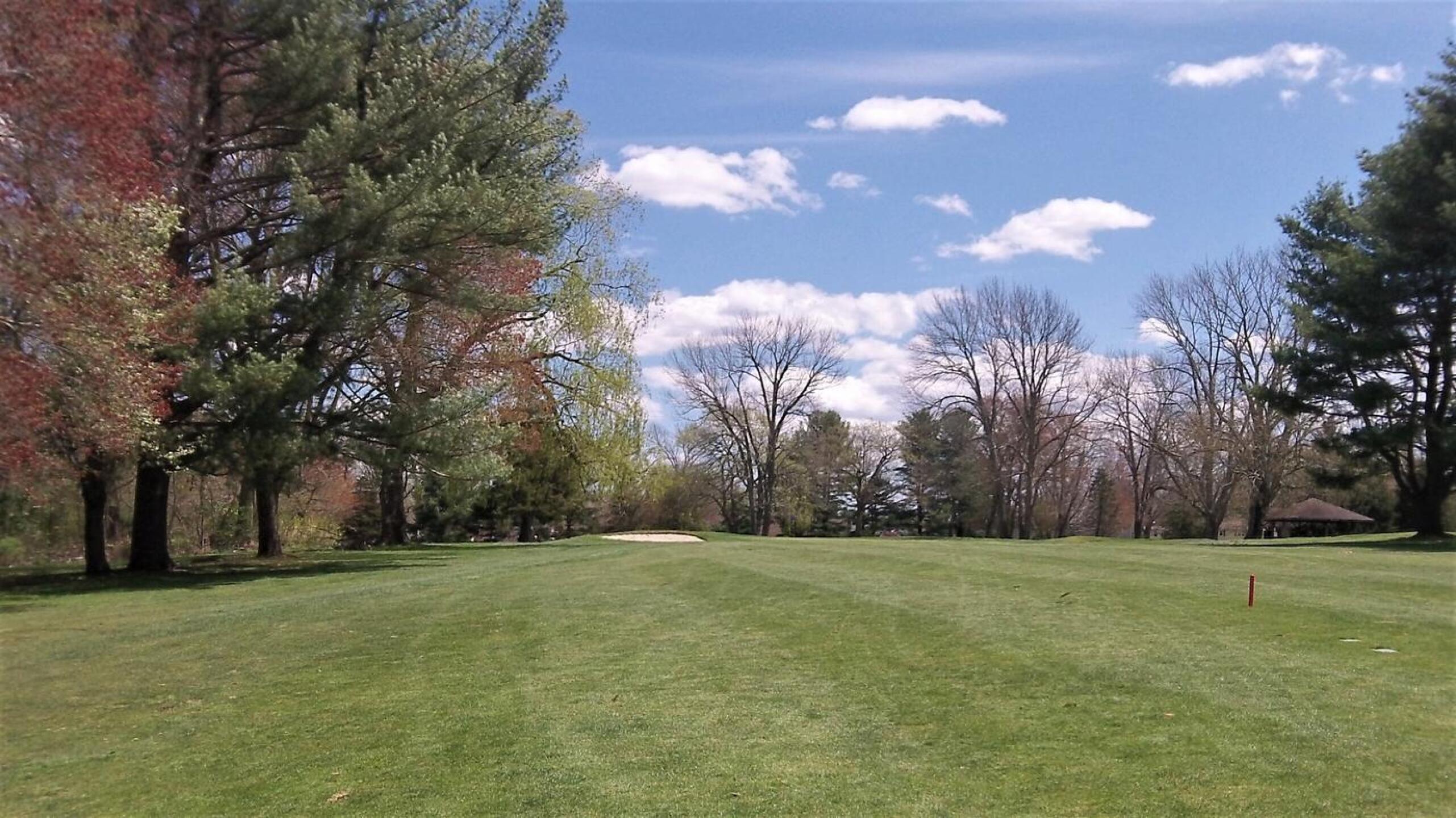 Five: a view to the green. (Photo submitted by AptlyLinked on 05/13/2020)