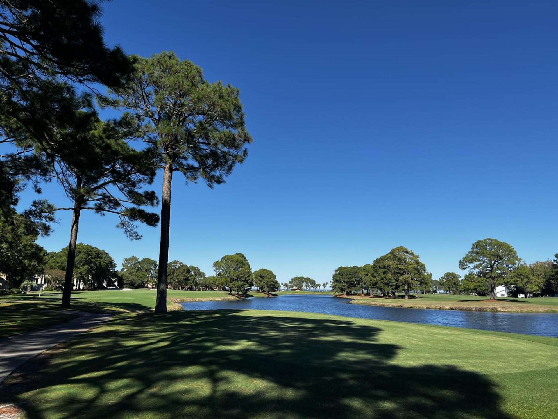 (Photo submitted by pqcXLGGZp2LN7ZgHlNIZ on 11/21/2024)