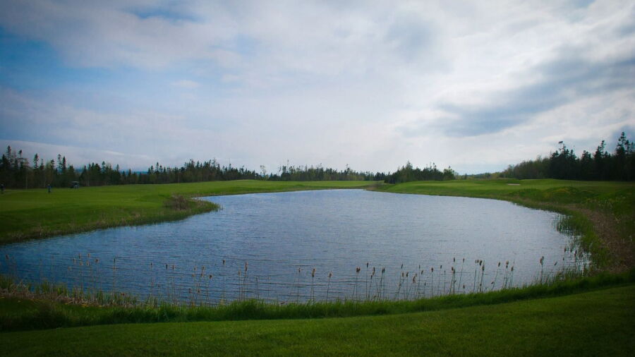 Bell Bay GC