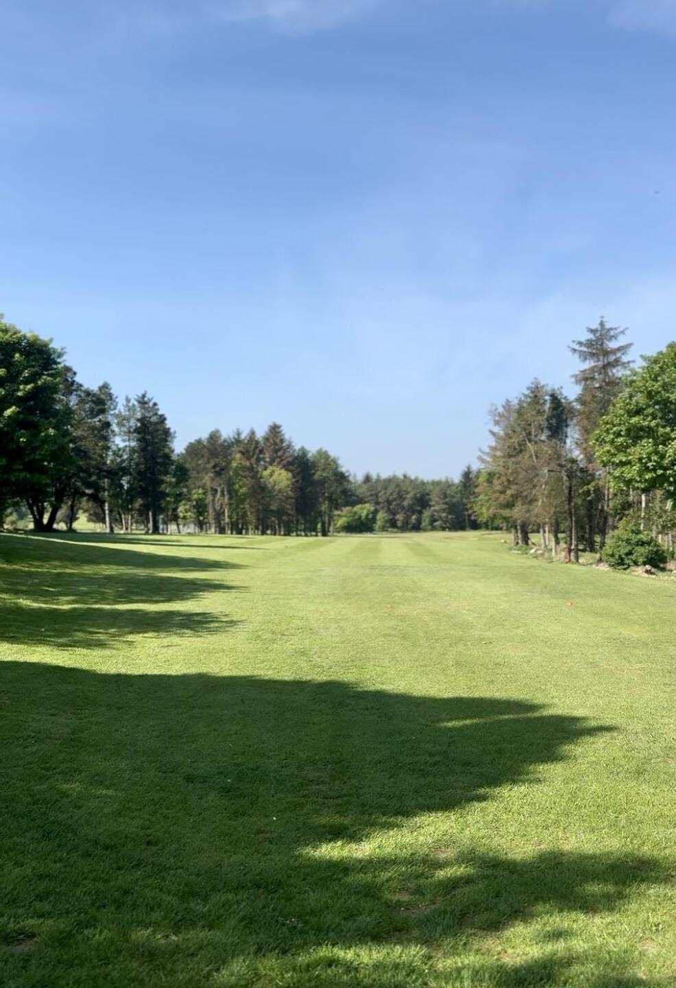 (Photo submitted by tKAx8yPHMpdKUlFdxQqX on 08/11/2025)