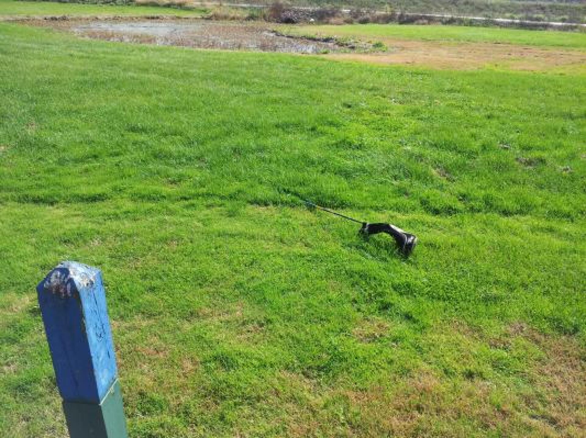 hit into fairway,? ball (Photo submitted by u000004156292 on 10/29/2012)