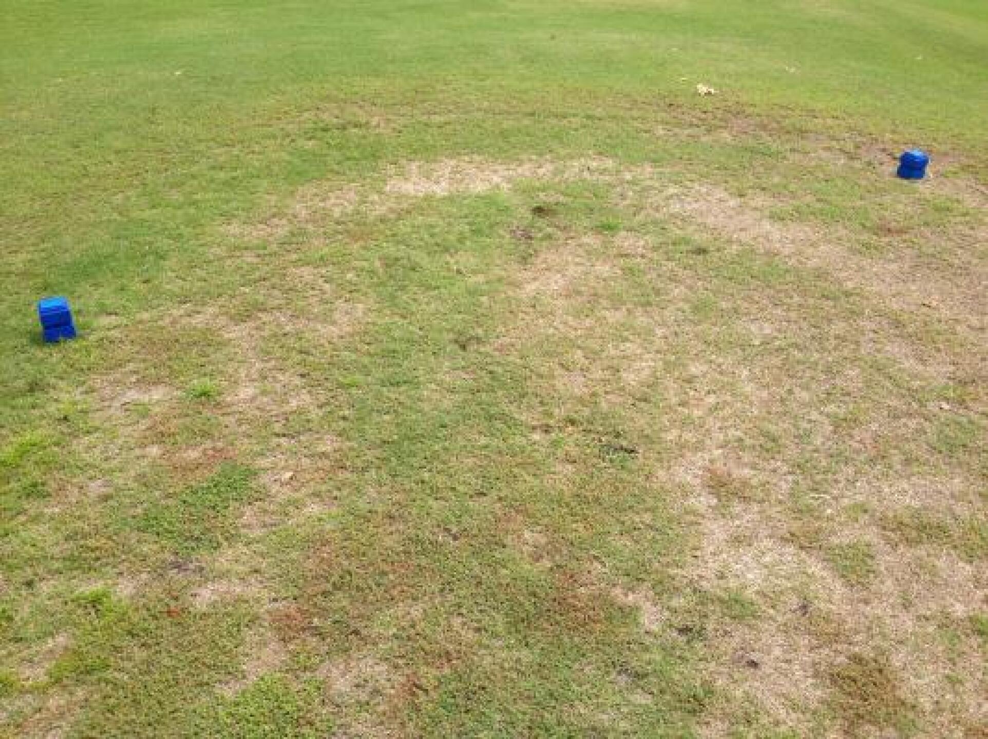 Tee box #6 Palms (Photo submitted by asanche9 on 06/16/2013)