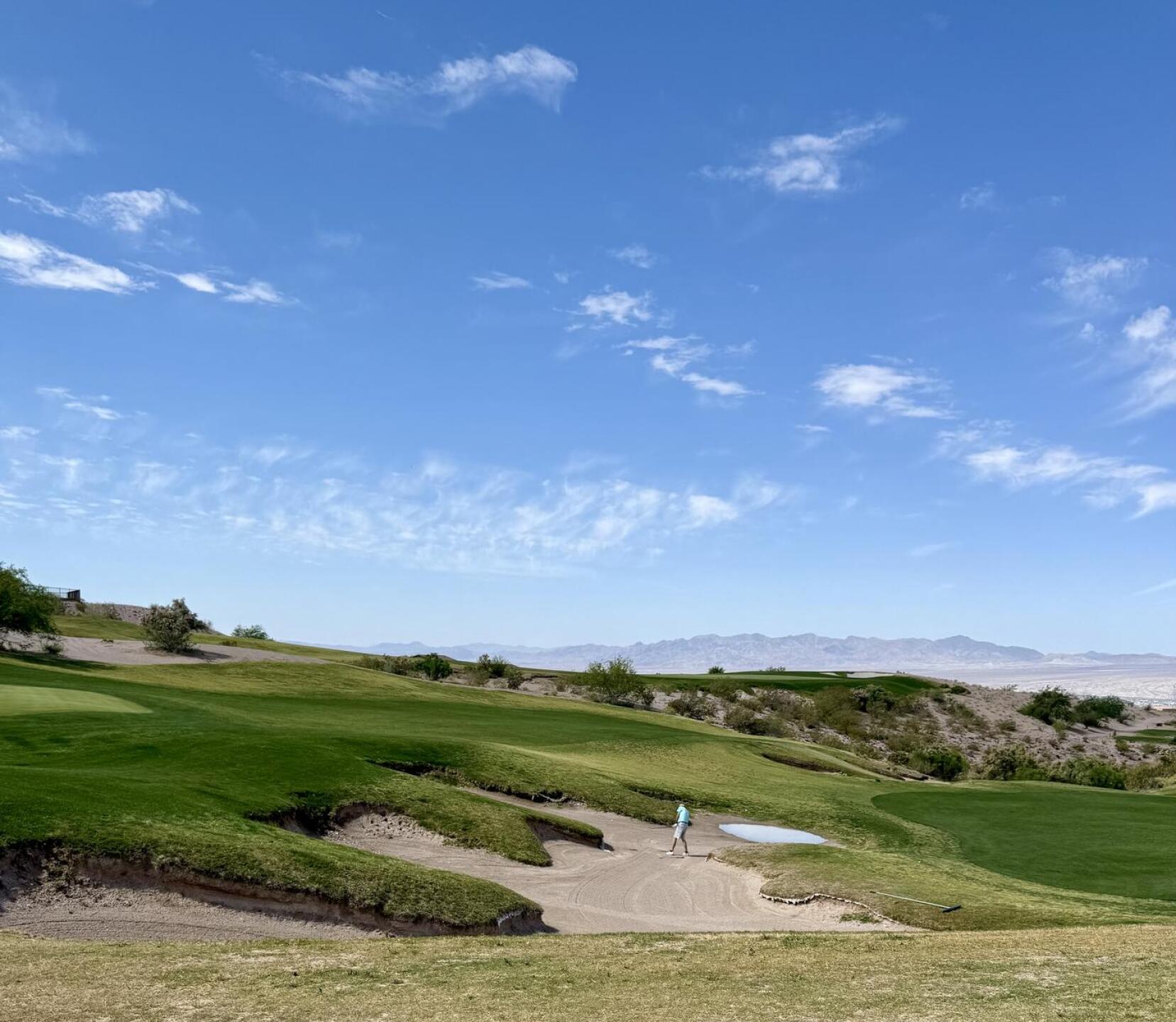 (Photo submitted by ZJaxjACUYzOz7fa0tZlQ on 04/19/2025)