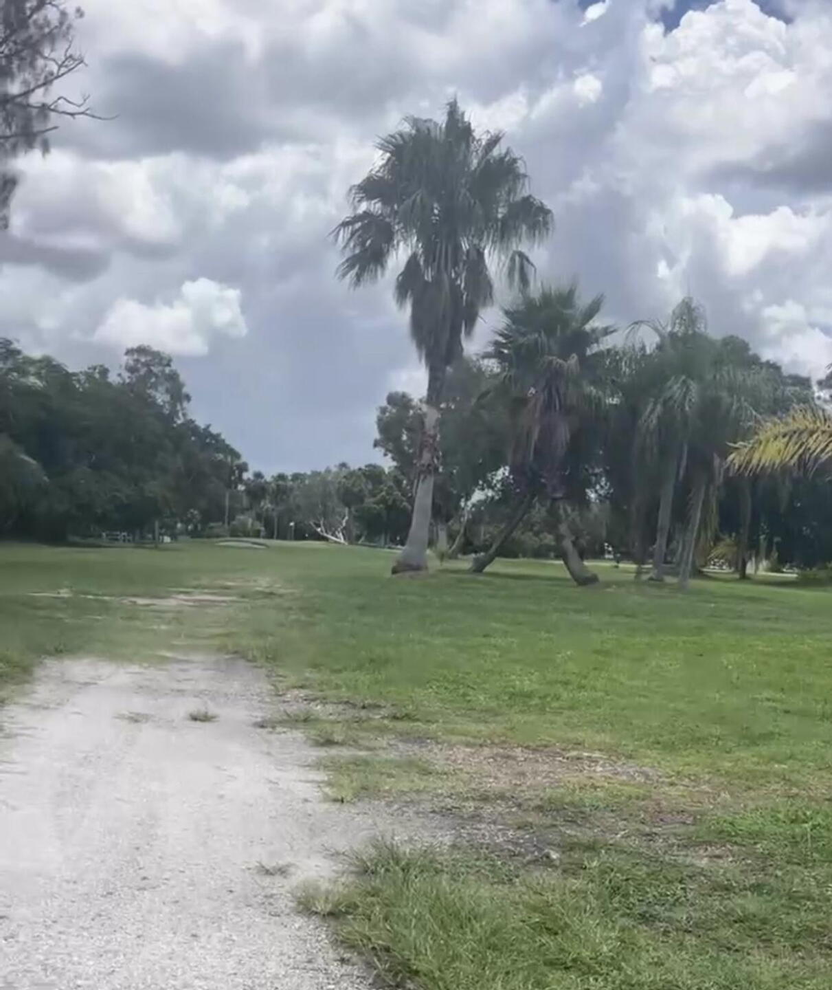 Tee boxes are close to this. (Photo submitted by u000005294150 on 06/29/2024)