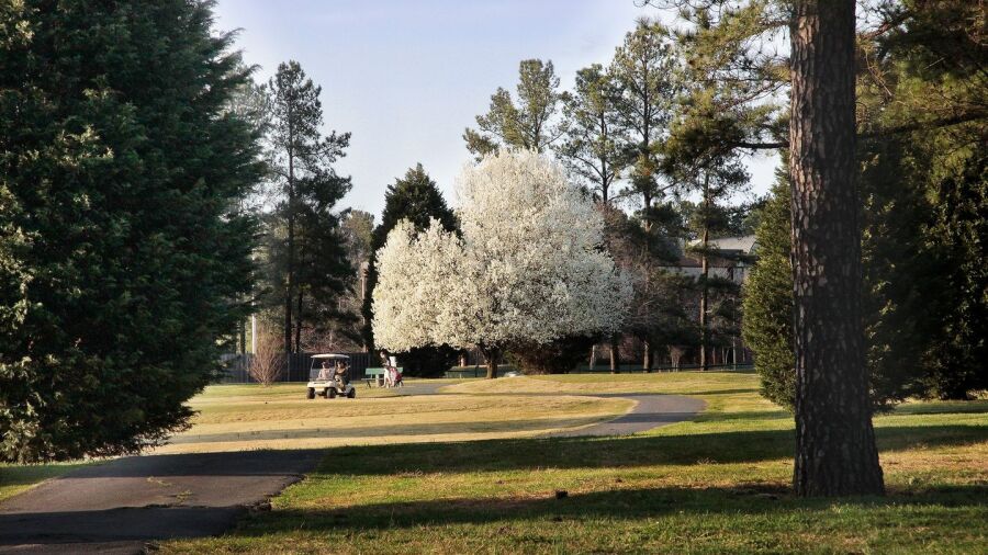 Hillandale GC