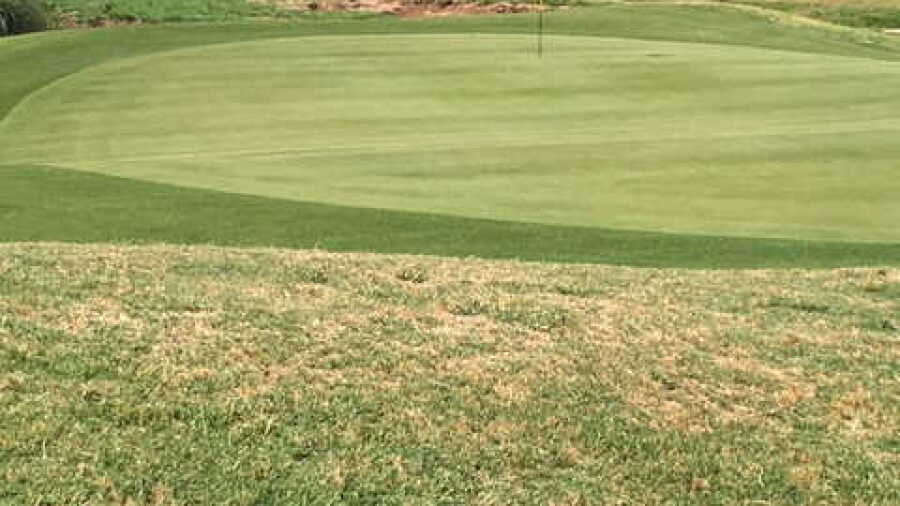 Coyote Willows GC