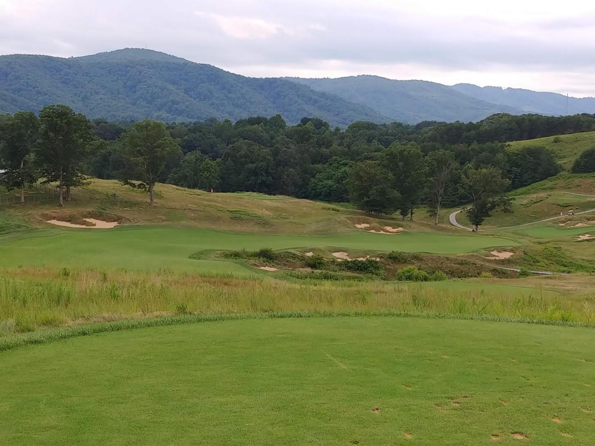 Tee box of the Par 5, #15. View is of the left side of the split fairway here. (Photo submitted by Bombtech6316 on 08/08/2018)