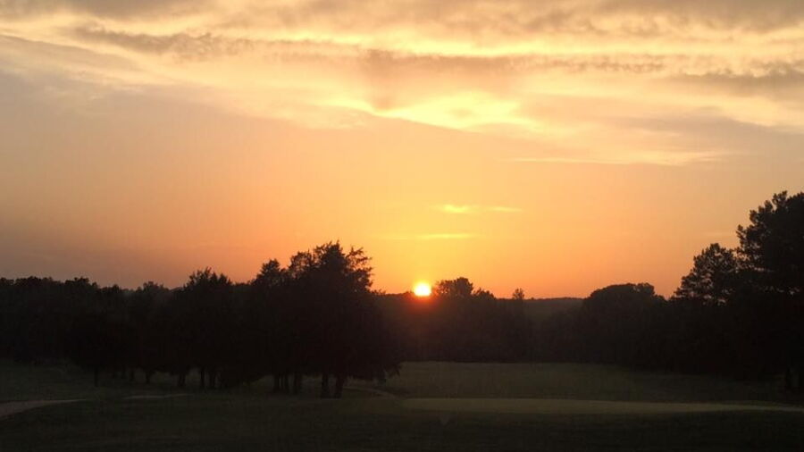 Cedars CC