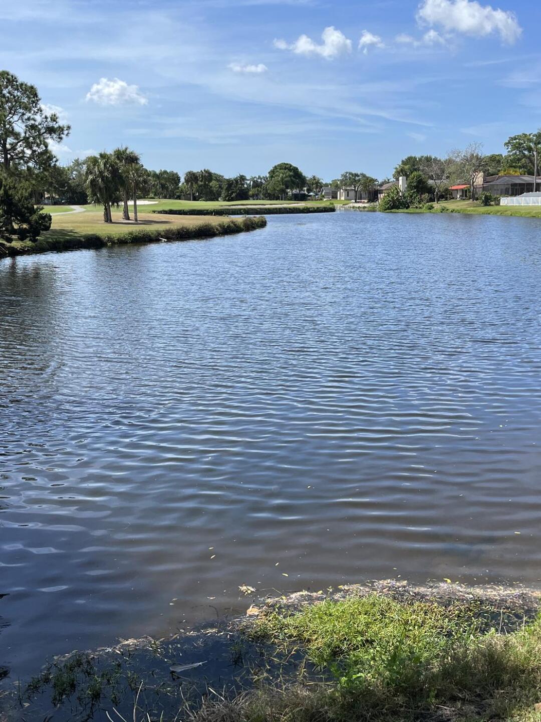 (Photo submitted by Cochero on 04/08/2023)