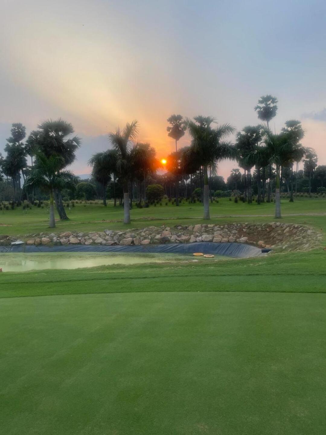 (Photo submitted by u314159412655 on 03/24/2024)