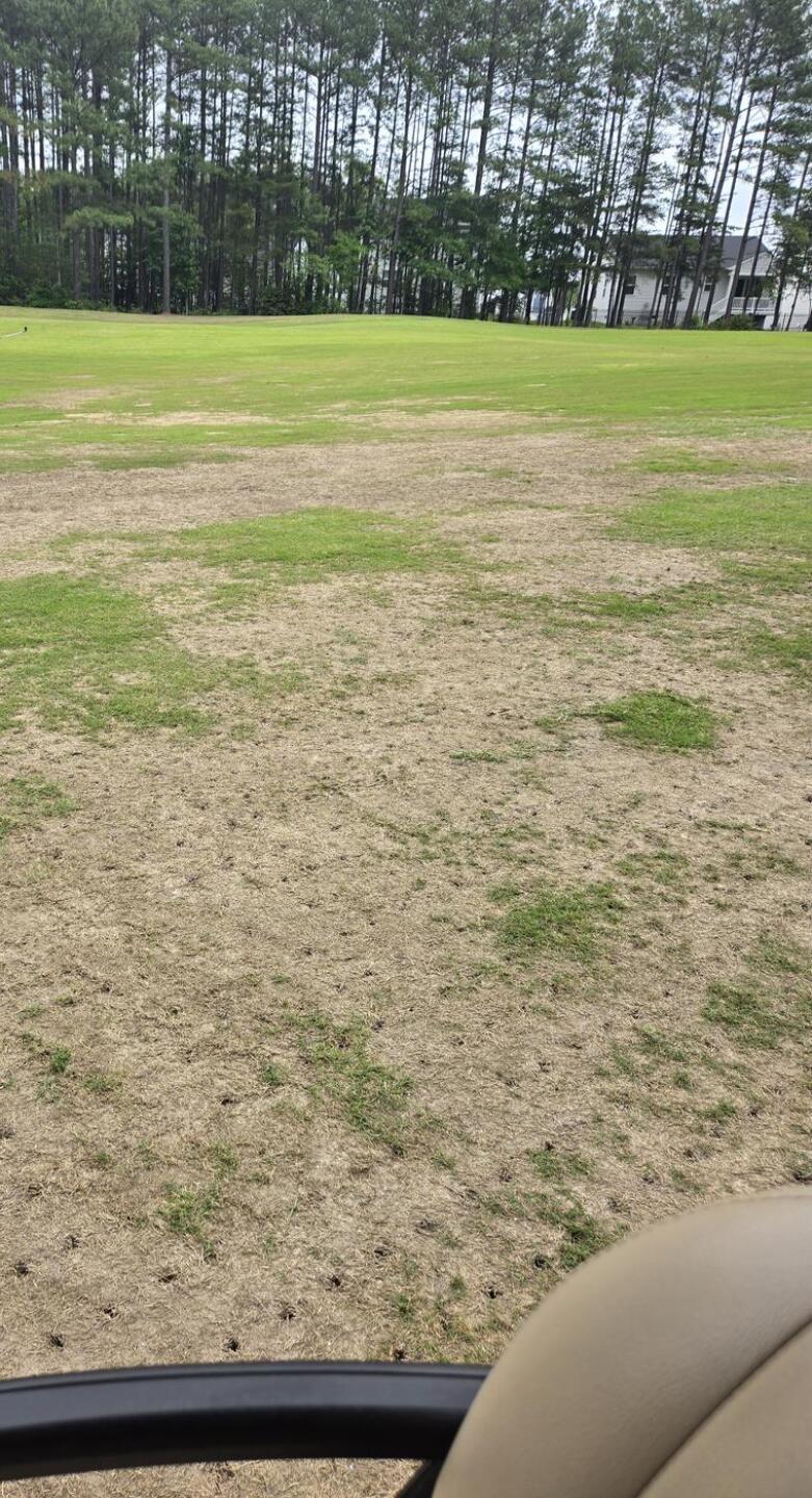 Fairway 6 (Photo submitted by u769573626 on 05/27/2025)