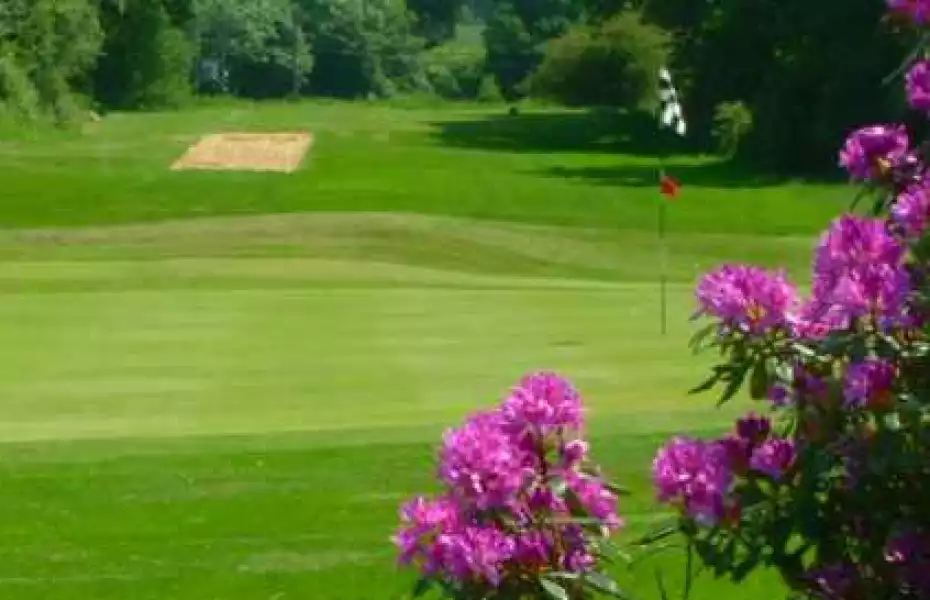 Dorking GC: #4