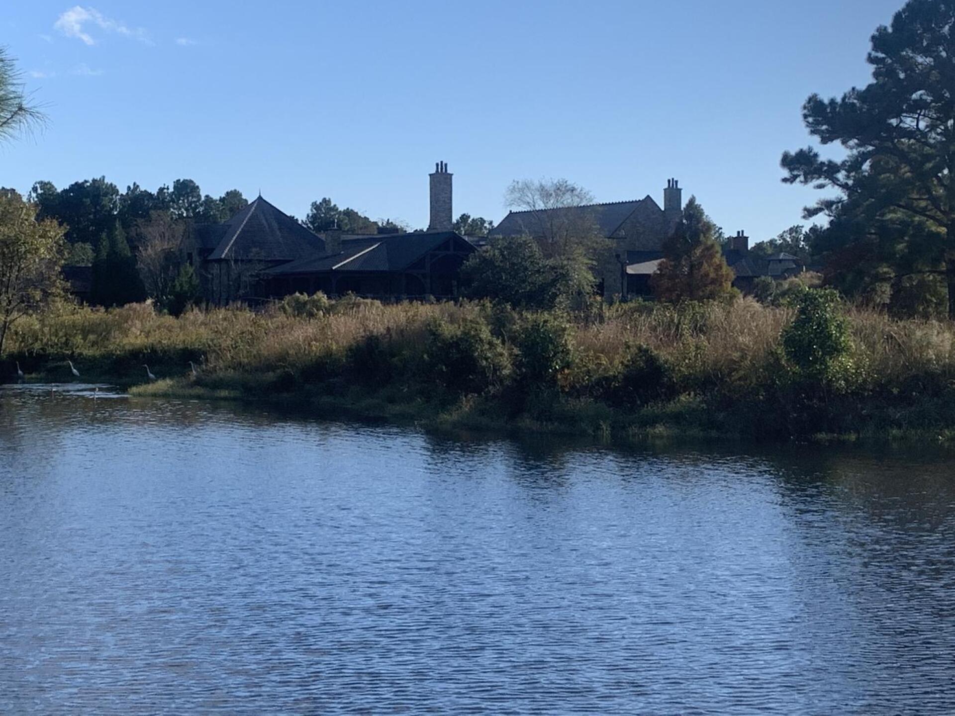 (Photo submitted by pmonge on 10/28/2022)