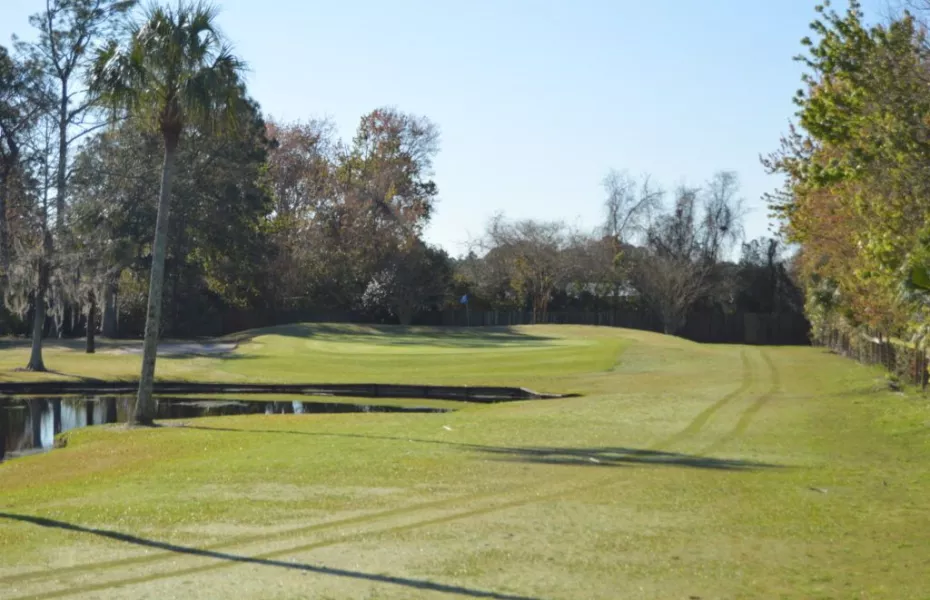 Palm Valley GC: #6