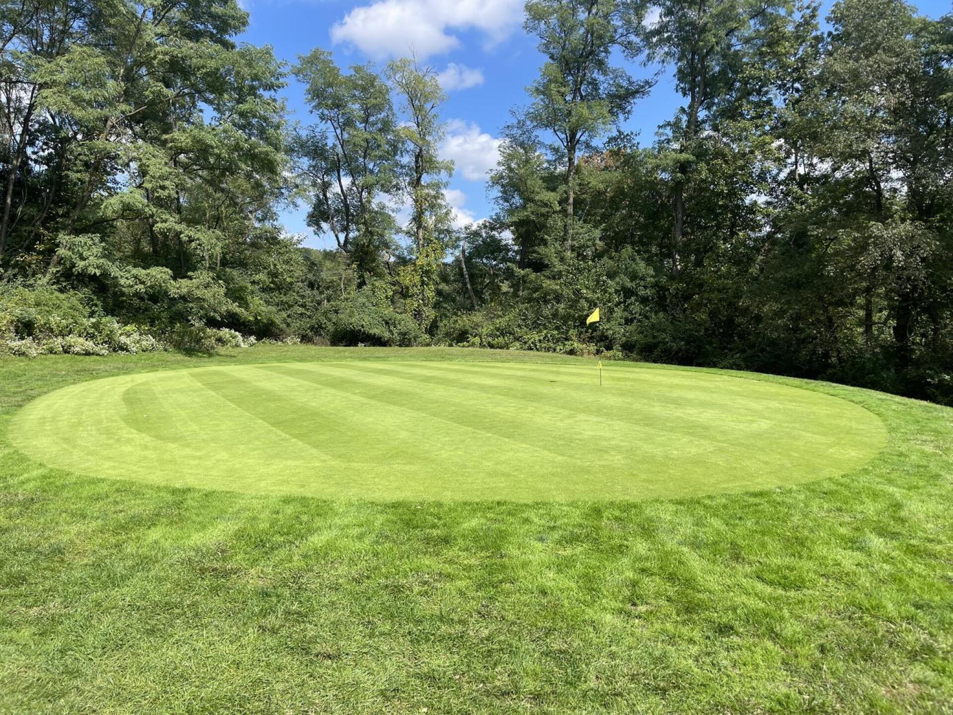 Hole 6 green (Photo submitted by u417350081 on 10/10/2024)
