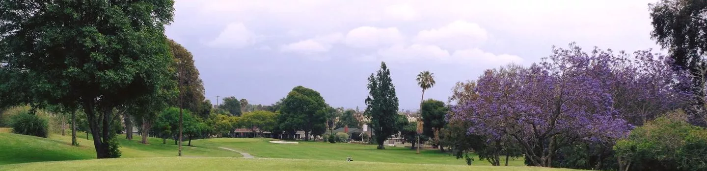 Meadowlark GC: #12