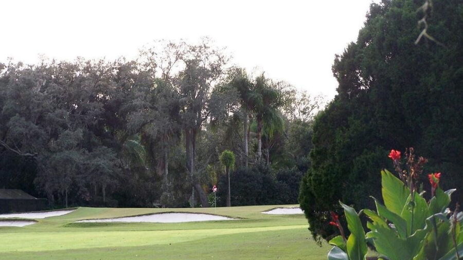 Temple Terrace GCC: #15