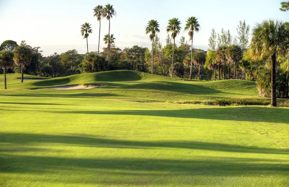 Osprey at Okeeheelee GC: #1