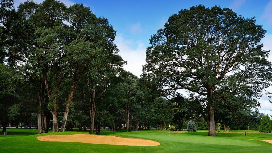Royal Oaks CC: #17