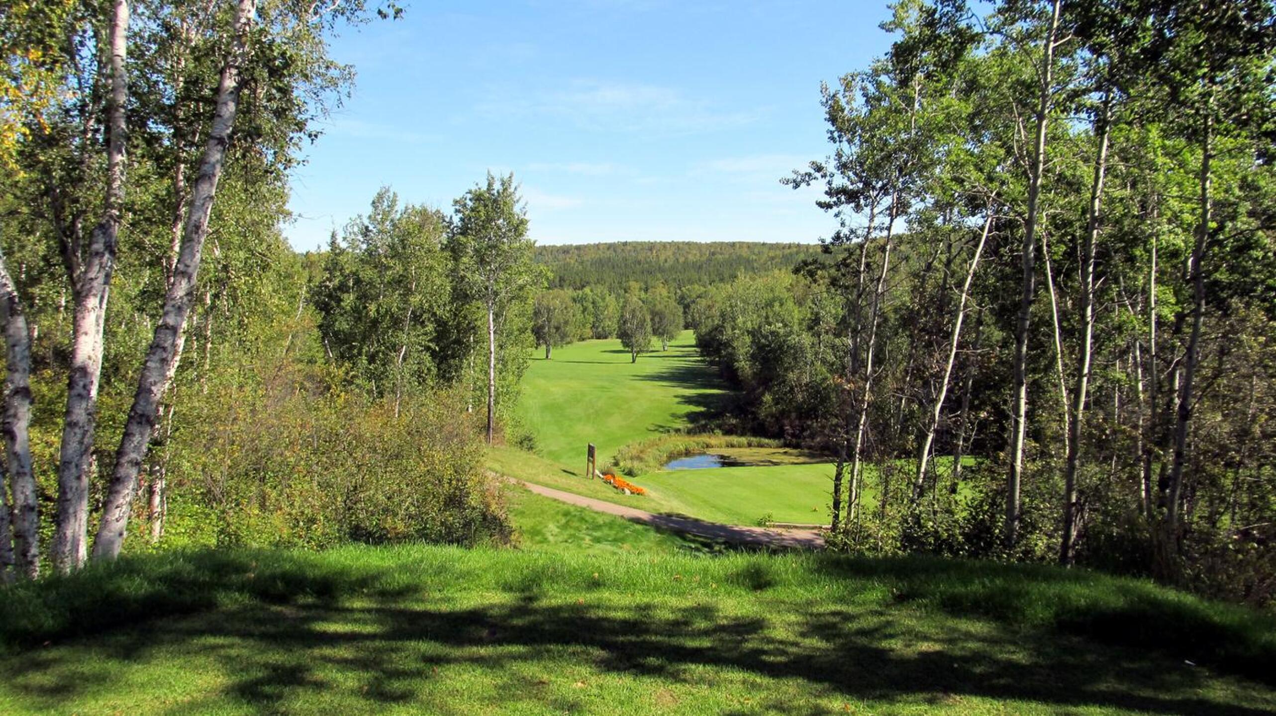 Loon Lake G&CC, Hole 5, Par 4, 406 yds, 210 yds out (Photo submitted by DYakimec on 02/29/2016)