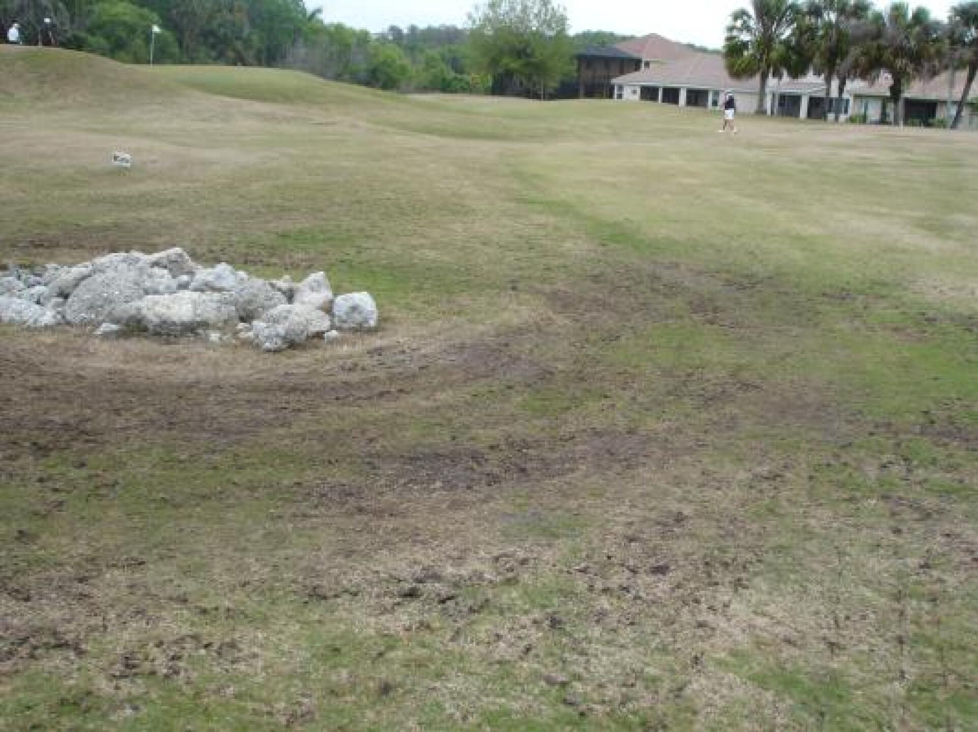 fairway condition poor (Photo submitted by Chrisr53 on 03/25/2013)