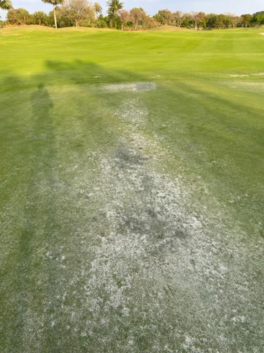 (Photo submitted by u079326129 on 03/07/2023)