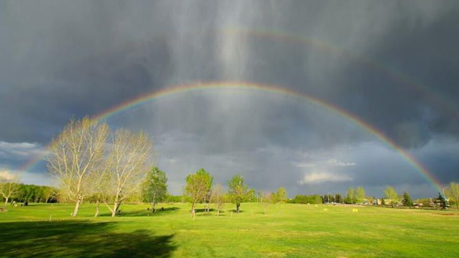 Wainwright GCC