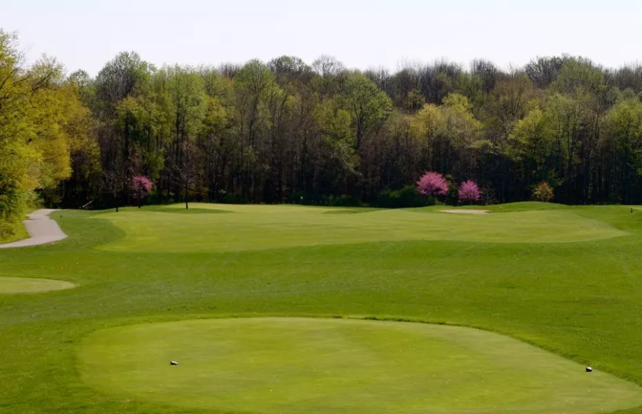 Eagle Creek GC - Sycamore: #12
