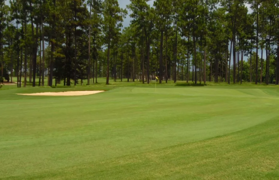 View from CC of Brewton