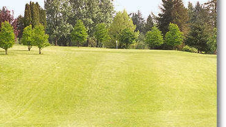 St Helen's #1