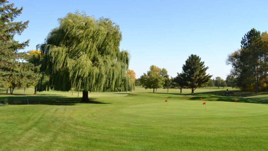 Hammond GC: Practice area