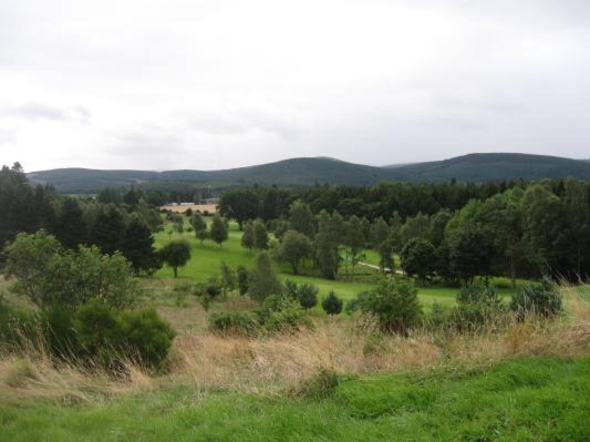 (Photo submitted by kathryn2 on 08/19/2014)