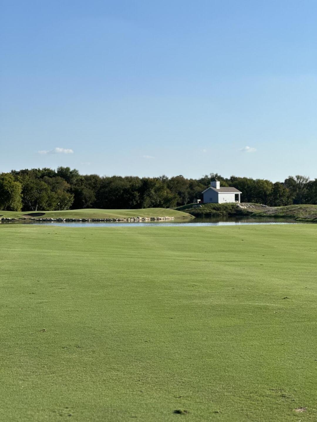 (Photo submitted by catherinecooley on 10/03/2024)