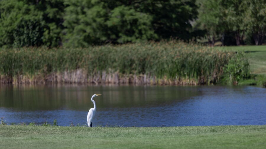 Glendale Lakes GC