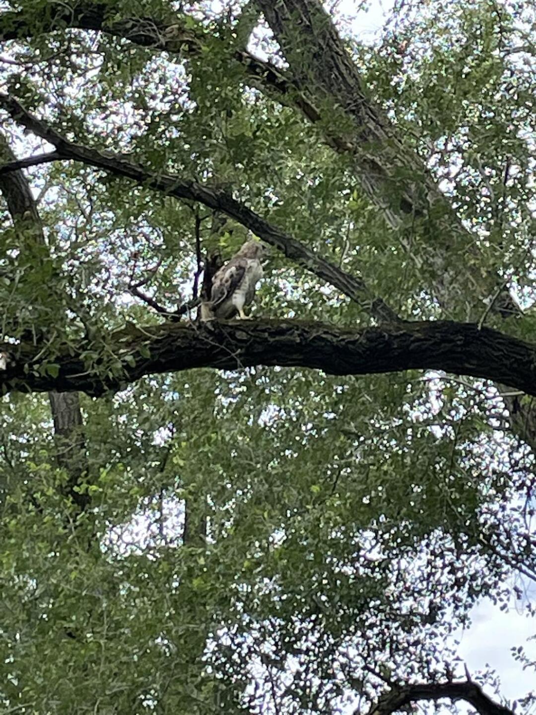 (Photo submitted by bissychic1 on 07/21/2022)