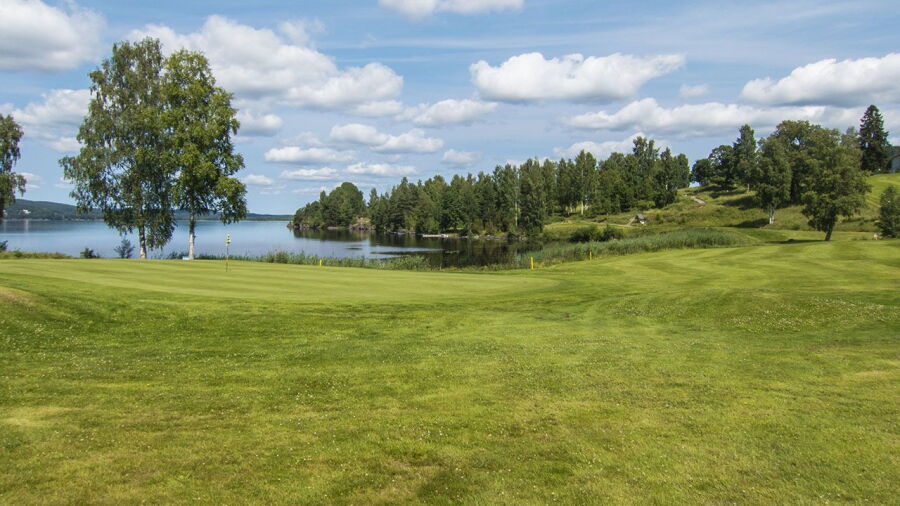Eda GC: #12