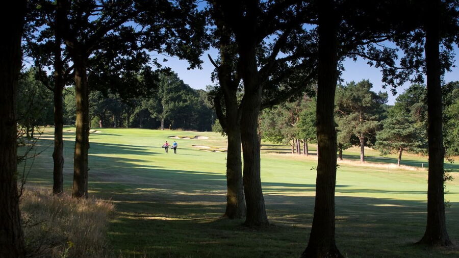 Hadley Wood GC: #8