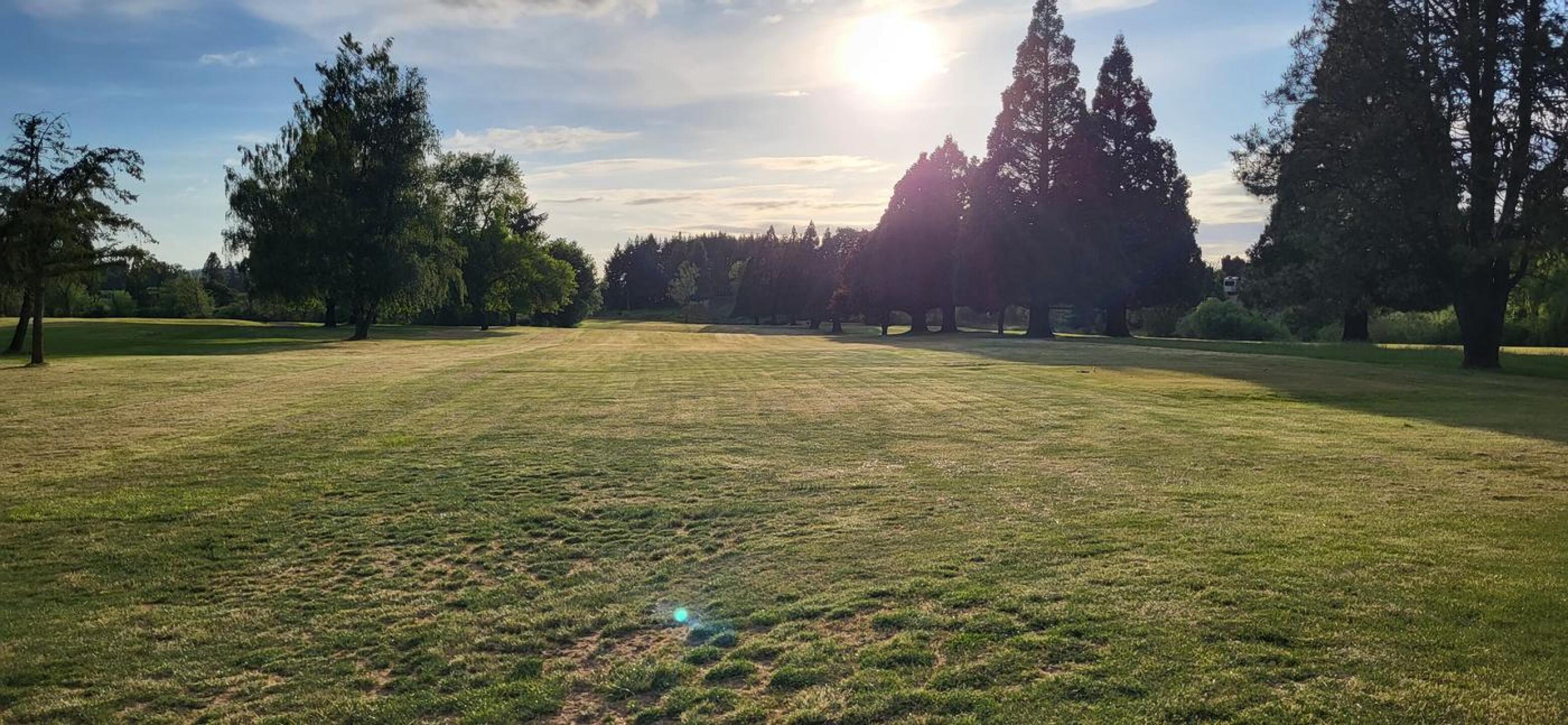 (Photo submitted by JEB03 on 06/06/2023)