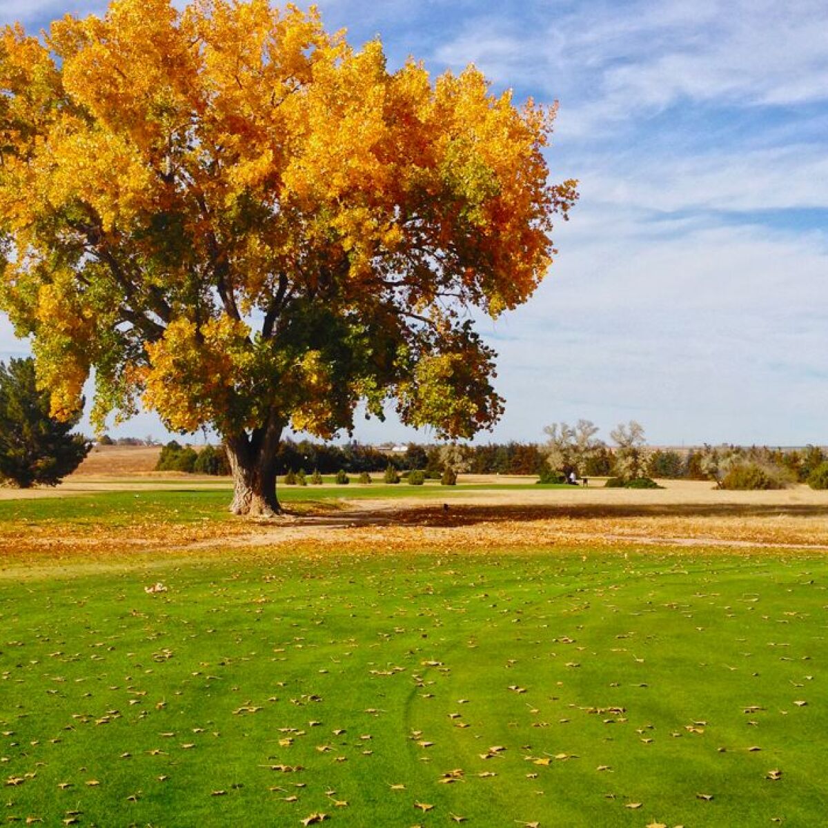 Enders Lake Golf Course in Enders, Nebraska, USA GolfPass